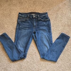 Joe's Jeans Blue Skinny Sleek Fit Denim